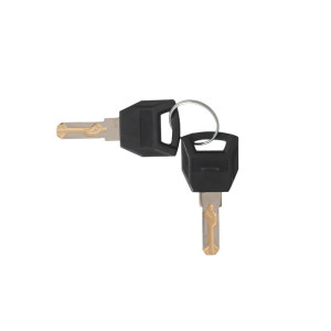 Valet Podium Extra key set of 2 